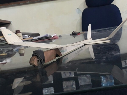 Caterpillar Plane Model
