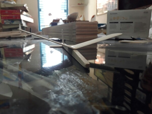 Cater Model Plane