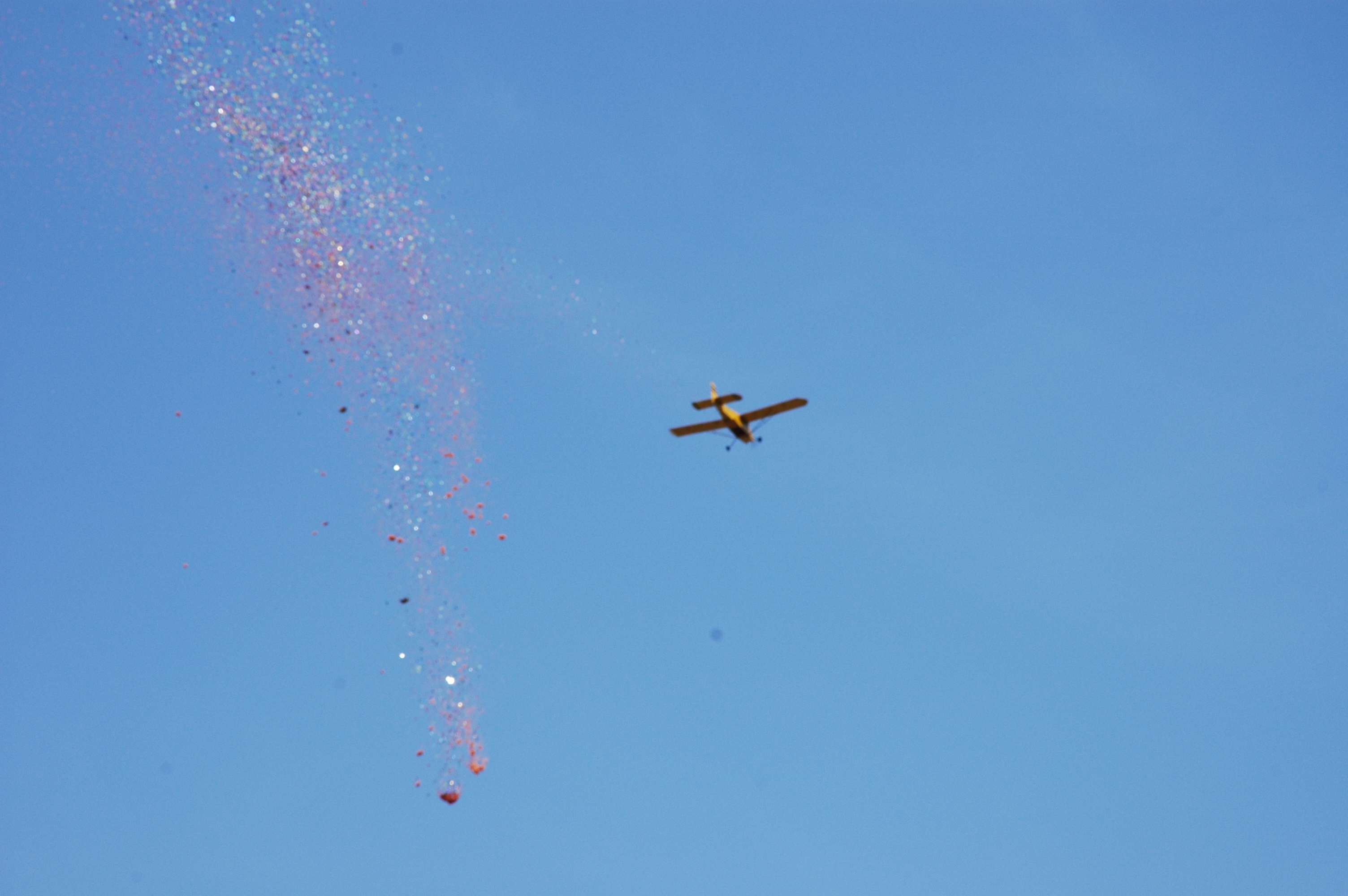 Flower Dropping